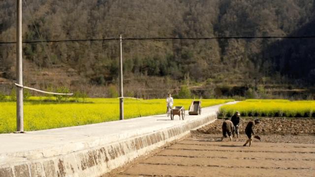 汉中周边踏青的好地方有哪些,汉中乡村游秘境