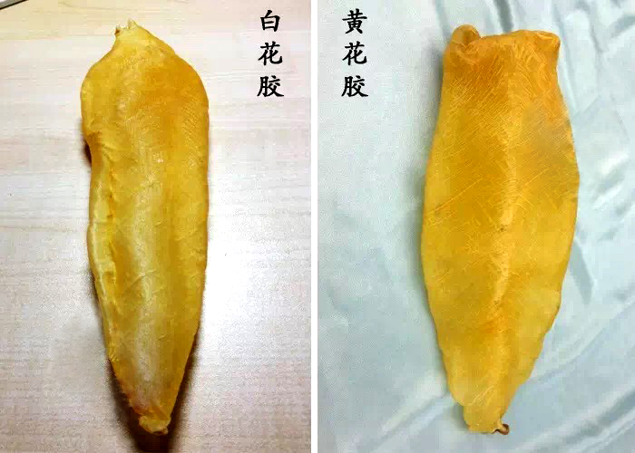 聊一聊哪些好物是你会无限回购的,让我颠覆了对花胶的认知