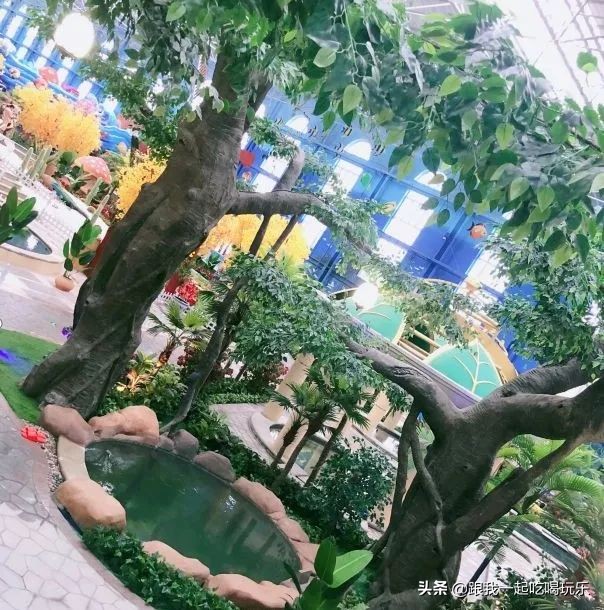 沈阳温泉水世界自助好吗,沈阳温泉池多的温泉