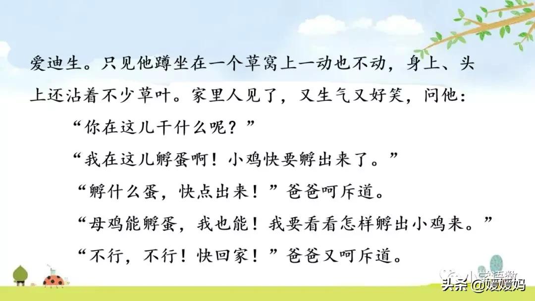 六年级下册语文表里的生物朗诵,六年级下册表里的生物小练笔400字
