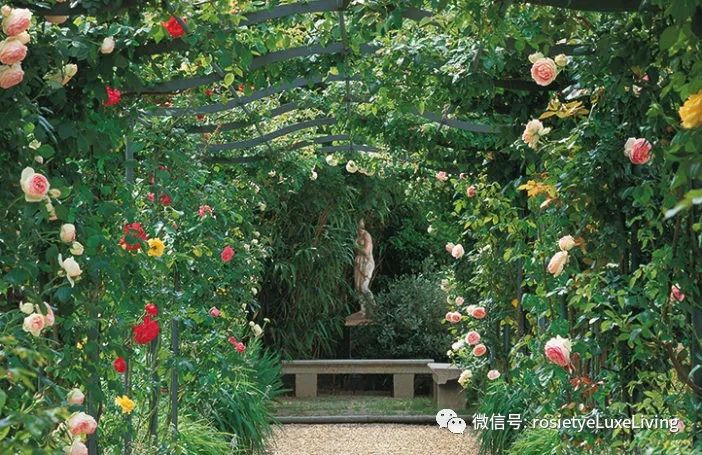 英国央行最新通知,英国央行降息贵金属