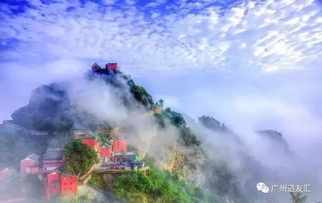 武当酒道,武当精酿