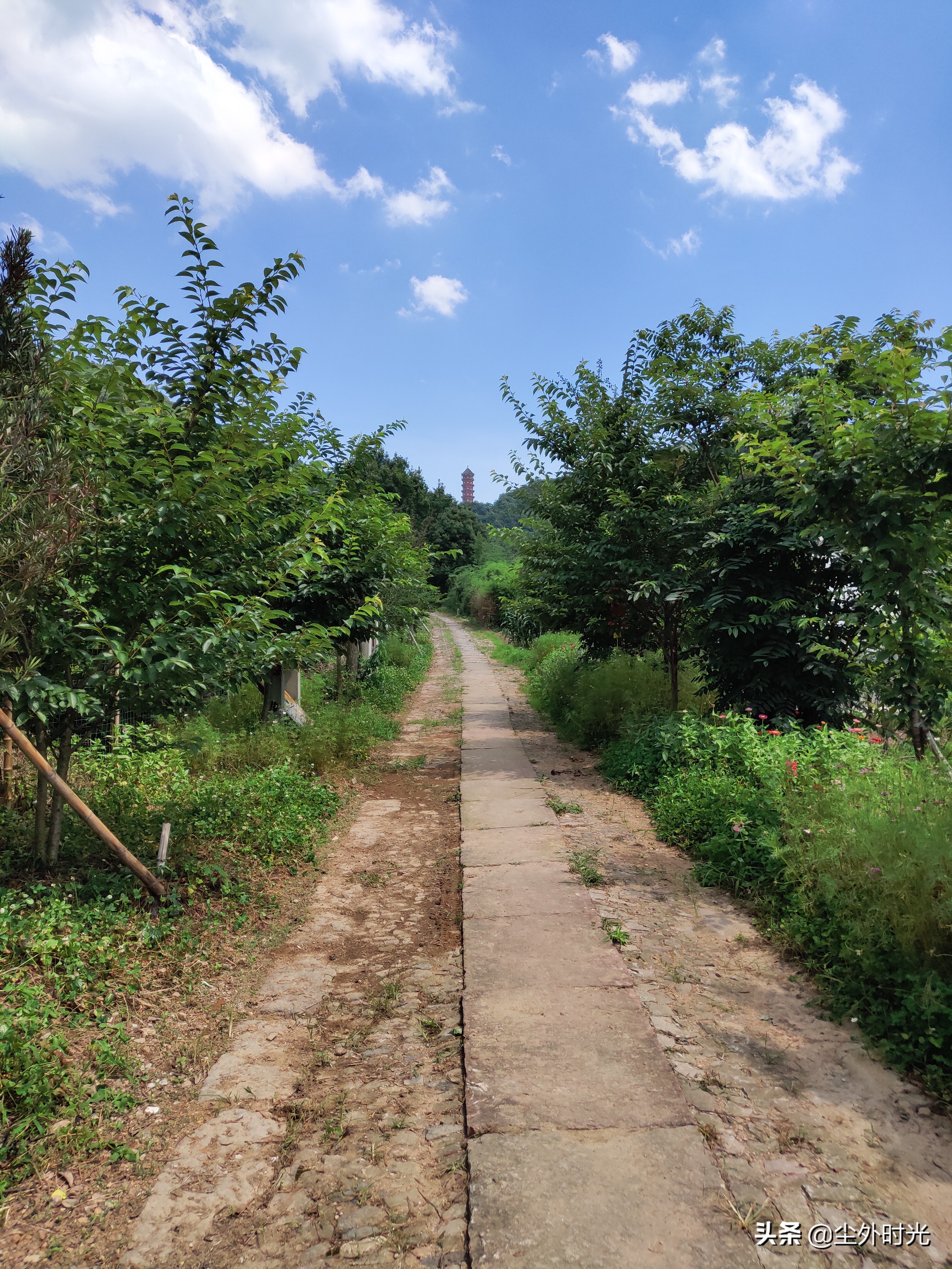 游人间仙境天童禅寺/白晓辉/尘外时光