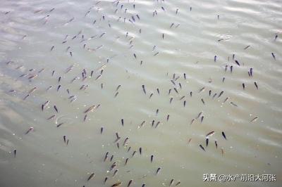 氨中毒安全措施方案,氨中毒用什么抢救