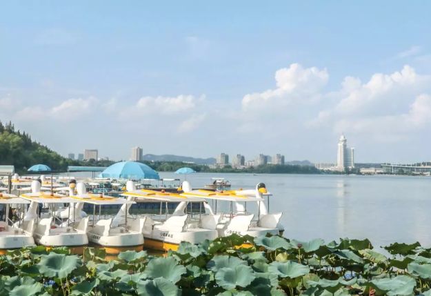 南京这些免费公园，让你任性玩个遍