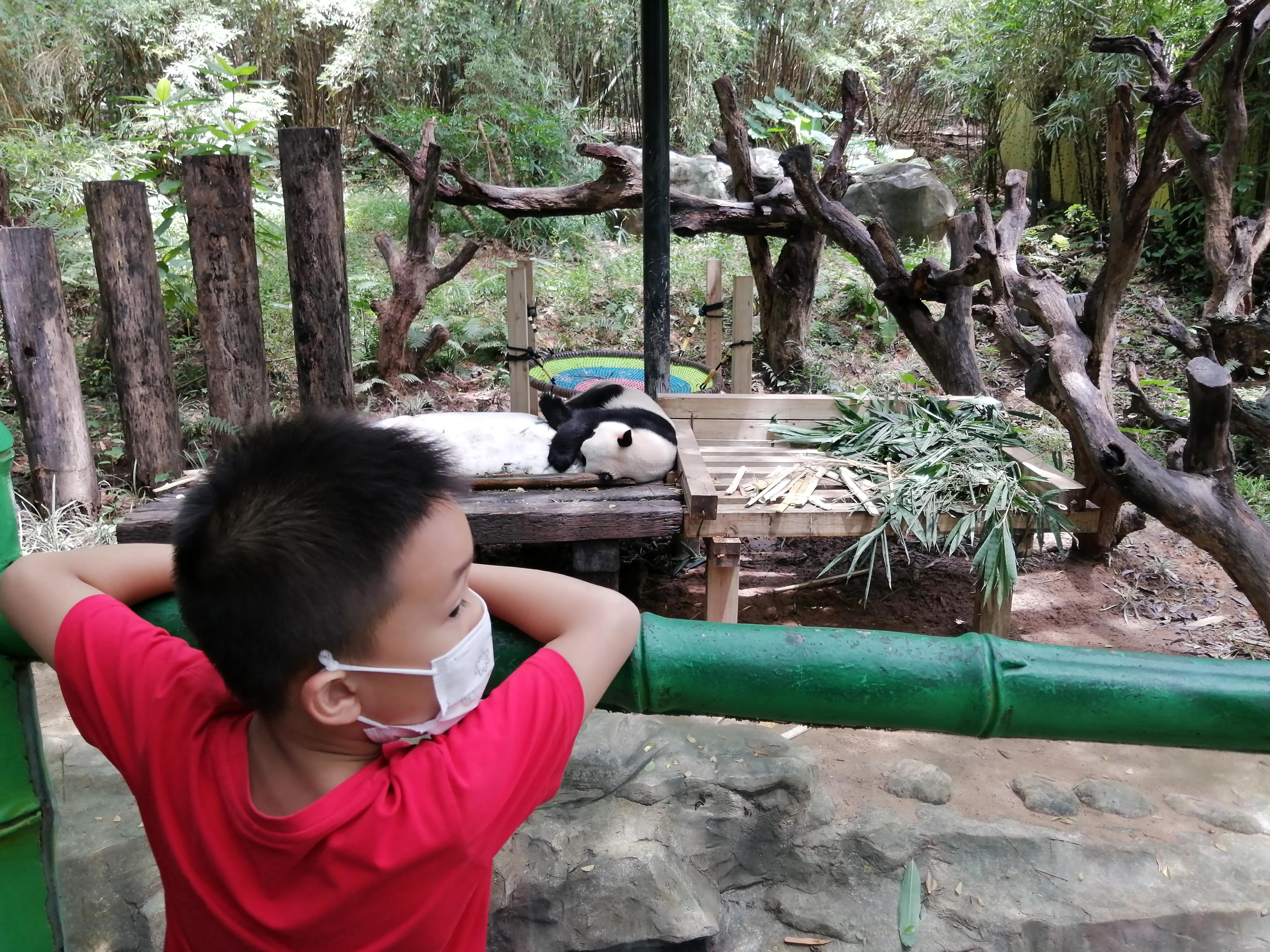 长隆野生动物世界攻略,长隆野生动物世界小火车排队