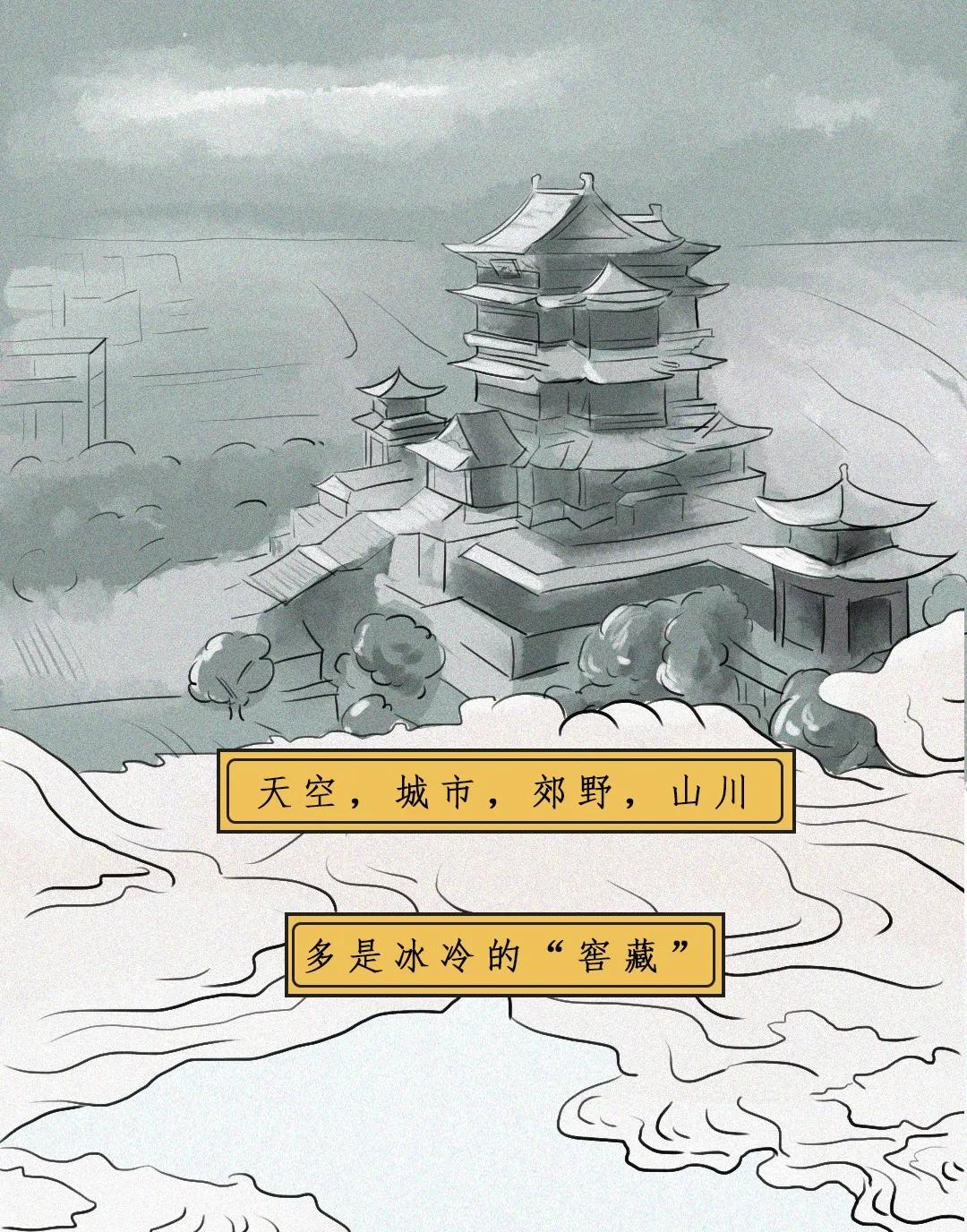 江西茶油树图片,江西茶油价格表