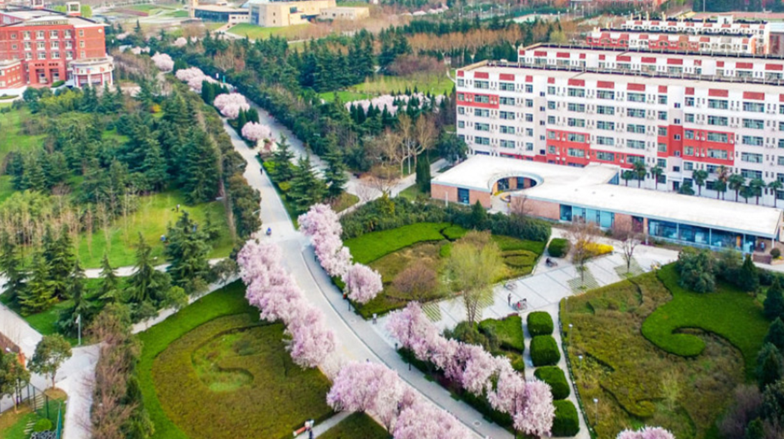 全国民办大学榜前10名单，第1名大学，司考过40%，名校考研20%？