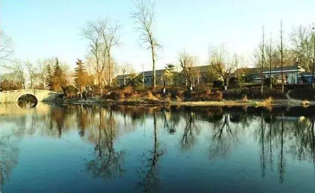 冬季山东山泉水最美最有韵味？济南山泉水美？泰山上下一片银白？