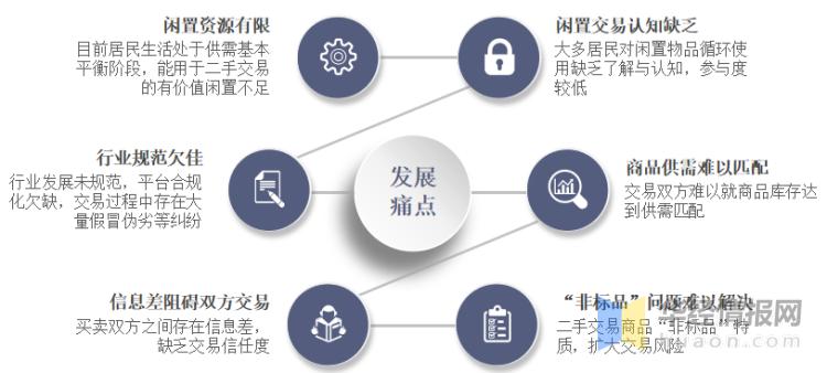 二手电子行业标准,中国电商现状与发展趋势英文