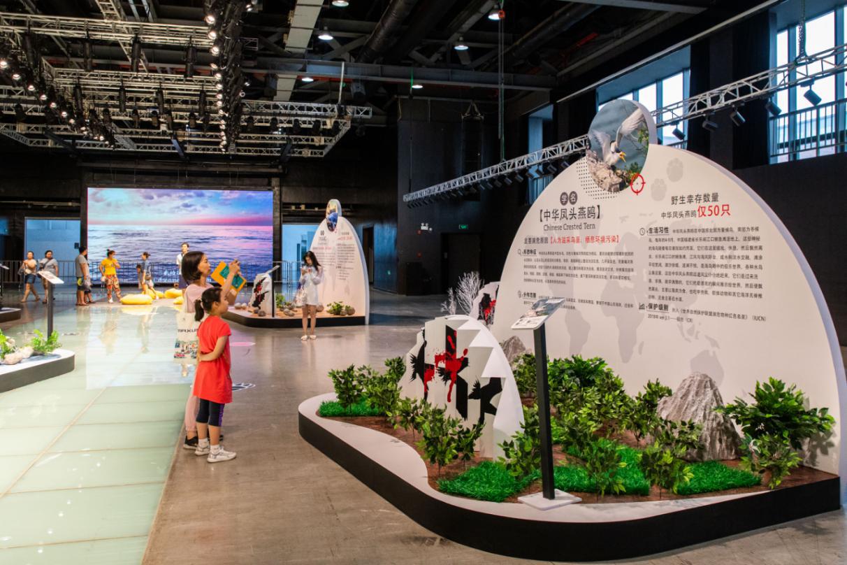 宠爱嘉年华平阳,宠爱嘉年华完整版