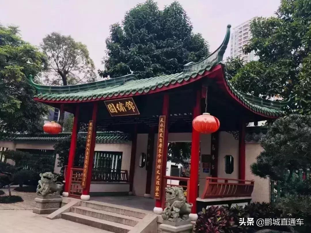 深圳60个最适合一日免费景点,暑假深圳旅游必去十大景点