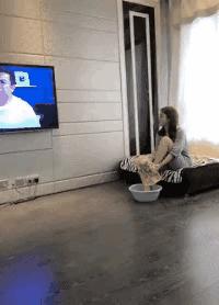 搞笑段子：骑上我心爱的小乌龟