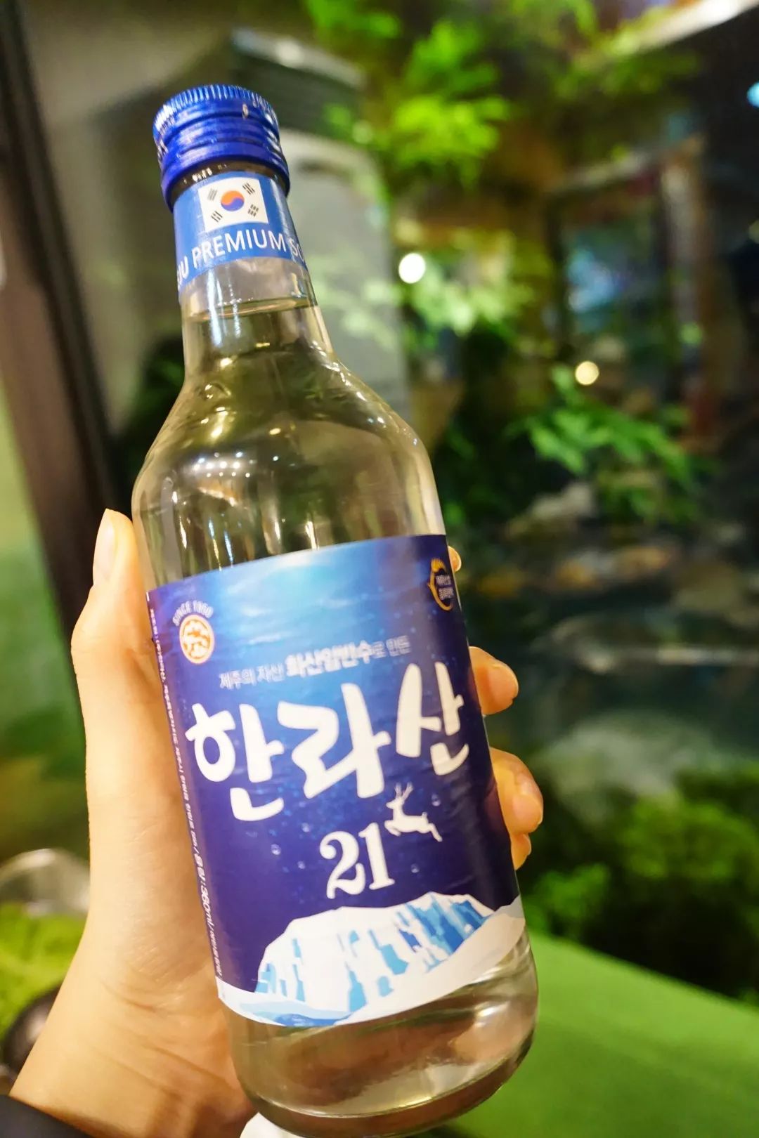 西安直飞1h,西安出发三日游冬季高铁