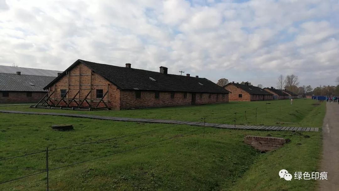 奥斯维辛集中营旅游,奥斯维辛集中营雏菊