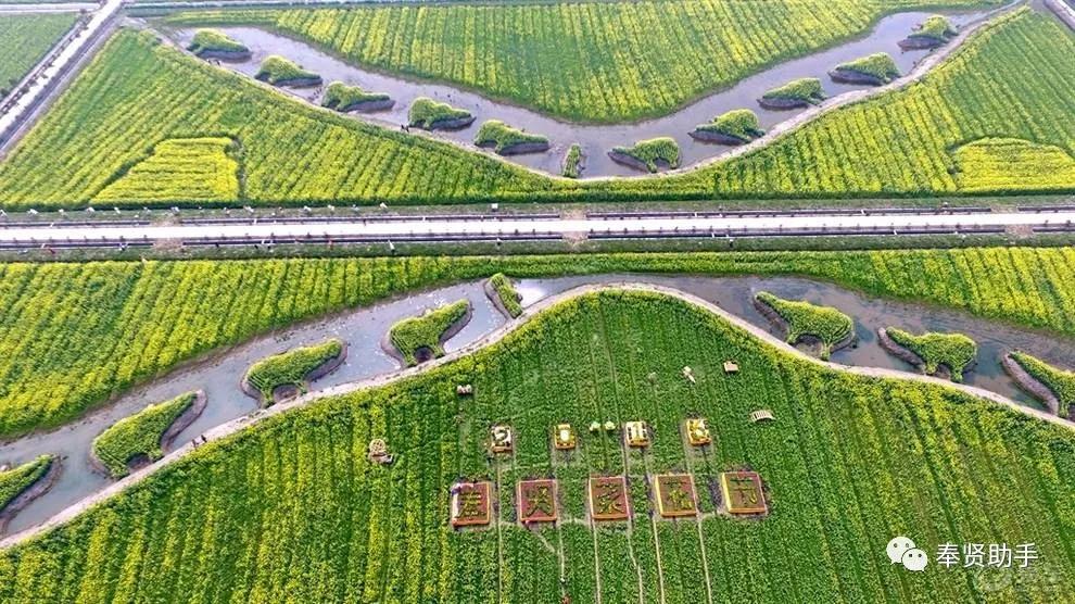 奉贤区南桥镇旅游景点,上海奉贤景点推荐一日游最佳路线