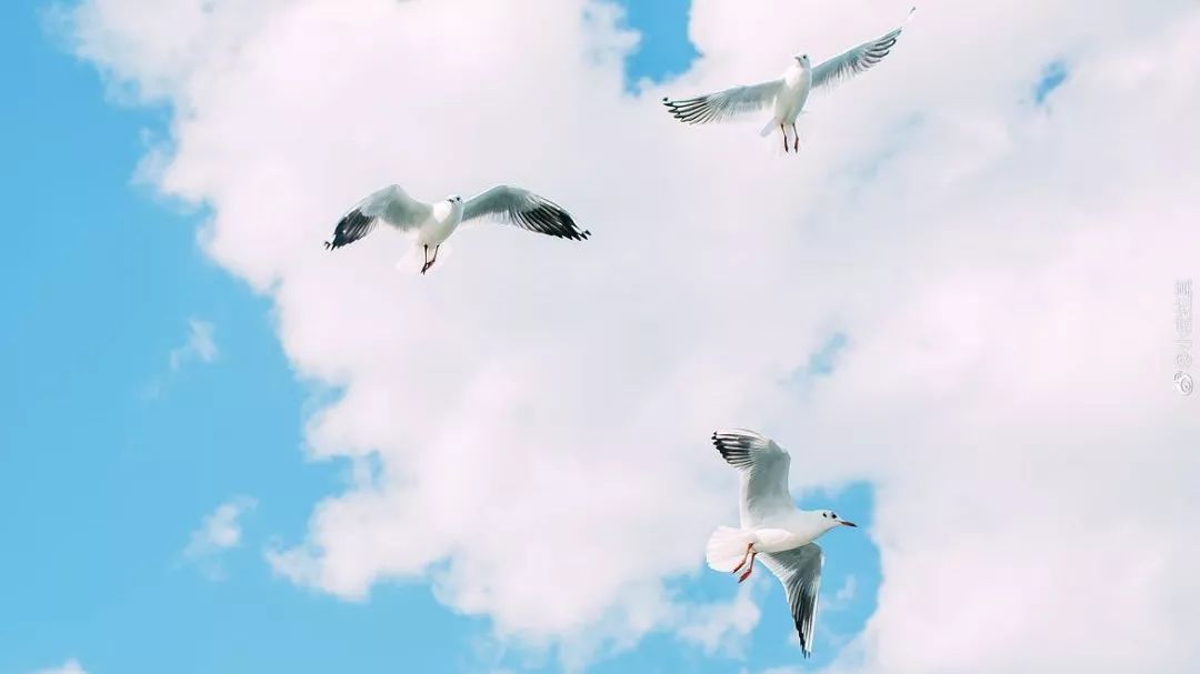 为什么年轻人都喜欢怀旧,年轻的我们变得越来越油腻