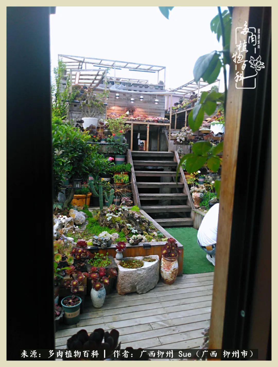 艳阳高照凉爽贵州，我要勤快地捕捉美好！（二）