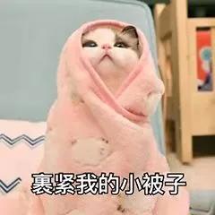 肾虚体寒喝什么,肾虚体寒需要治疗吗