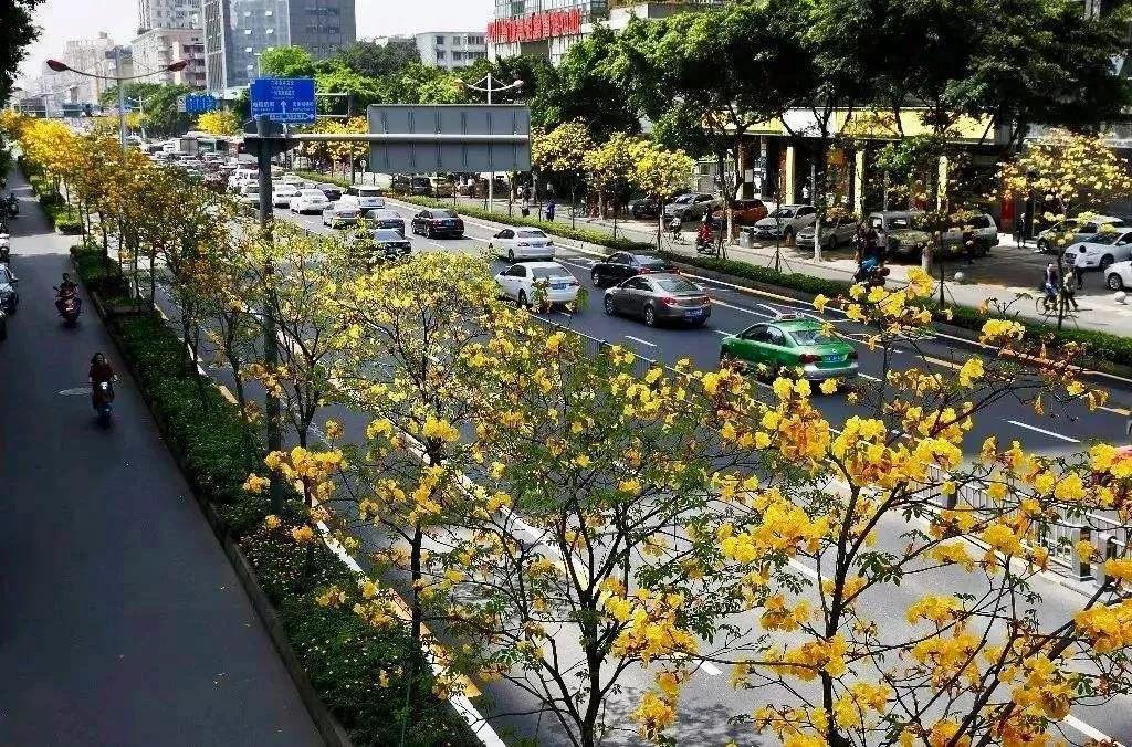 成都周边田园旅游攻略,成都冬季最理想的旅游线路