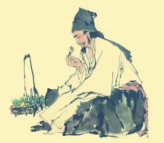 三农种植推荐：农业一带一路，果桑和菜桑前景发展趋势