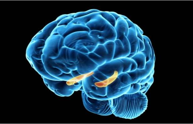 2岁宝宝背诗说明记忆力好吗,3岁小孩背诗的技巧和方法