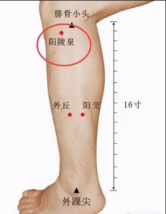 通经络对肝的好处,通肝解气穴位图