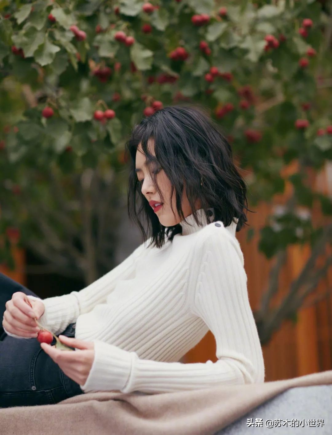 loropiana围巾欧洲价格是多少,lorapiana围巾经典款