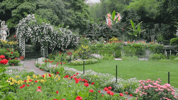 一个安徽爷爷，花1万块种出5000㎡私家花园，被评为中国最美