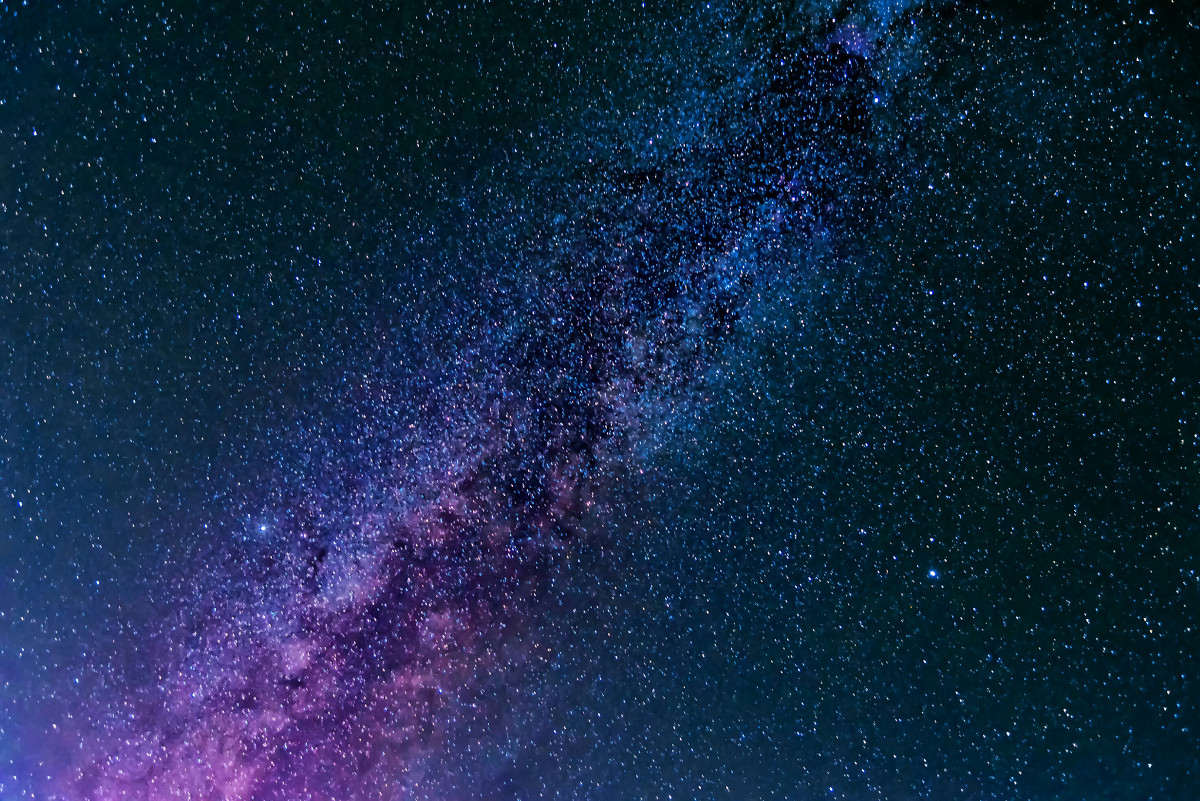 花红易衰似郎意水流无限似侬愁,花红易衰似郎意