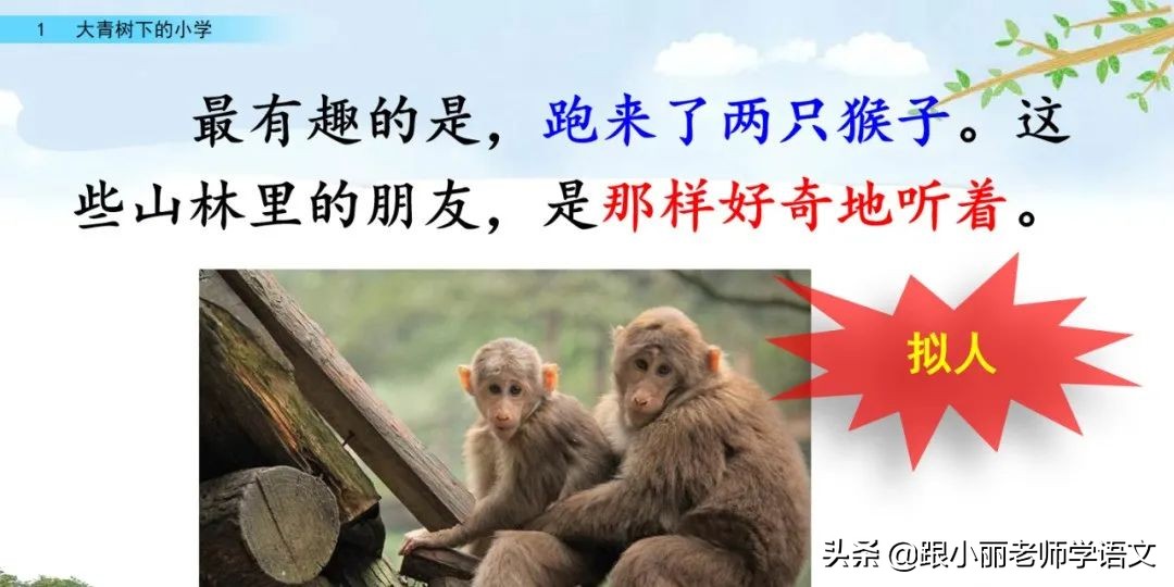 大青树下的小学重要背诵内容,大青树下的小学必会知识点