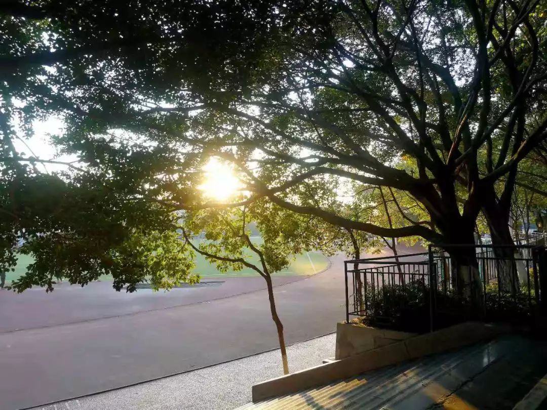 绵阳南山中学学生发言,绵阳南山中学上学感受