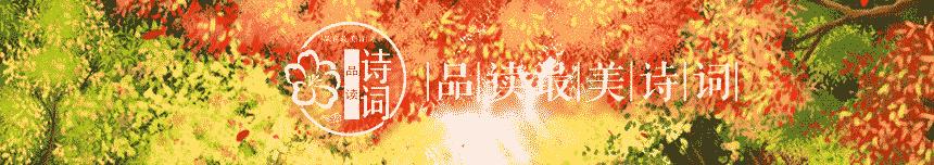 关于重阳赏菊花现代诗句,秋夜里赏菊花唯美诗句