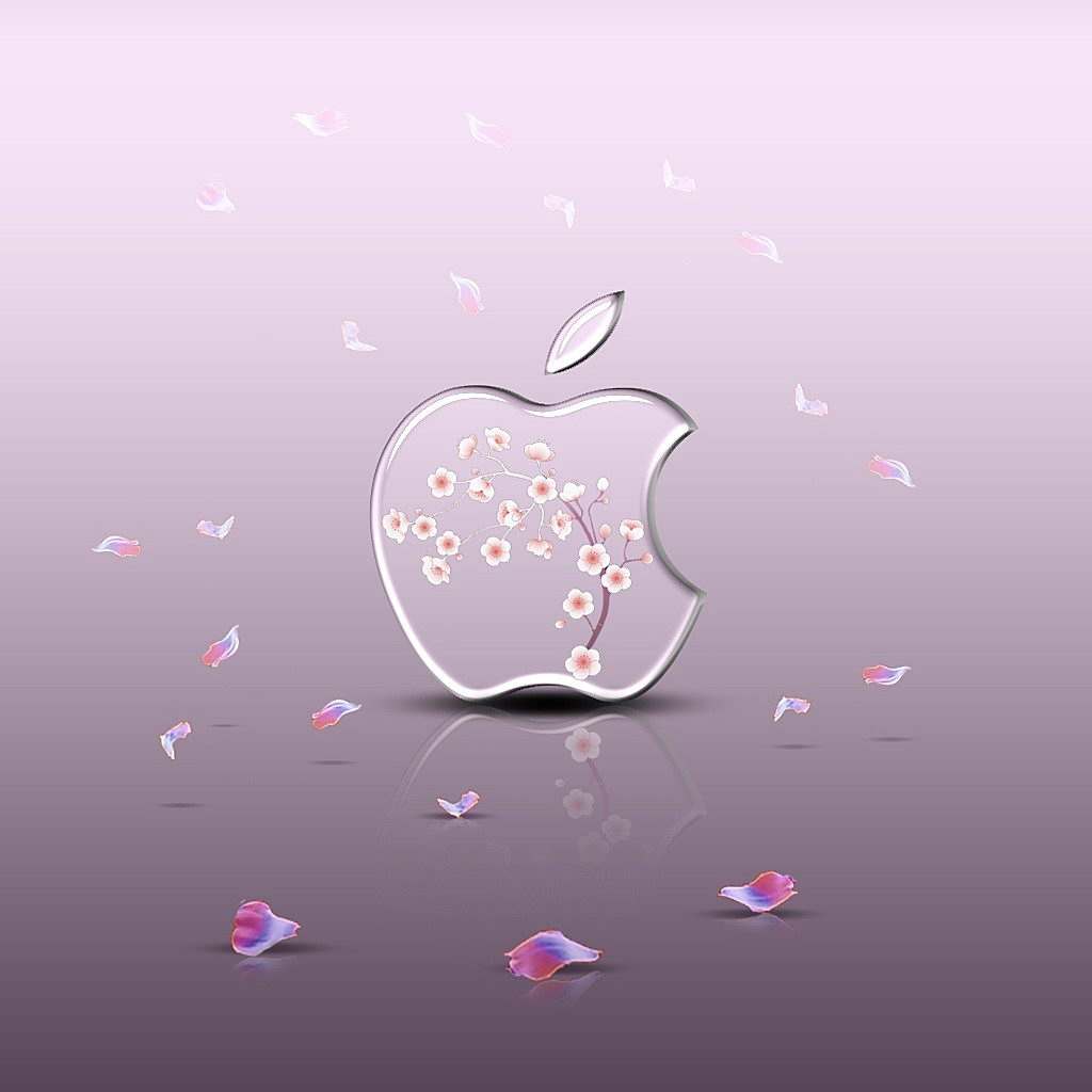 苹果手机换成安卓手机有什么问题,差距越来越大是什么感觉