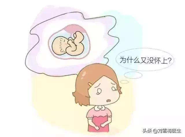 女性不孕的常见原因排行,女人不孕做什么检查