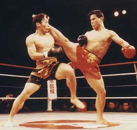 散打介绍简短文字,散打文章