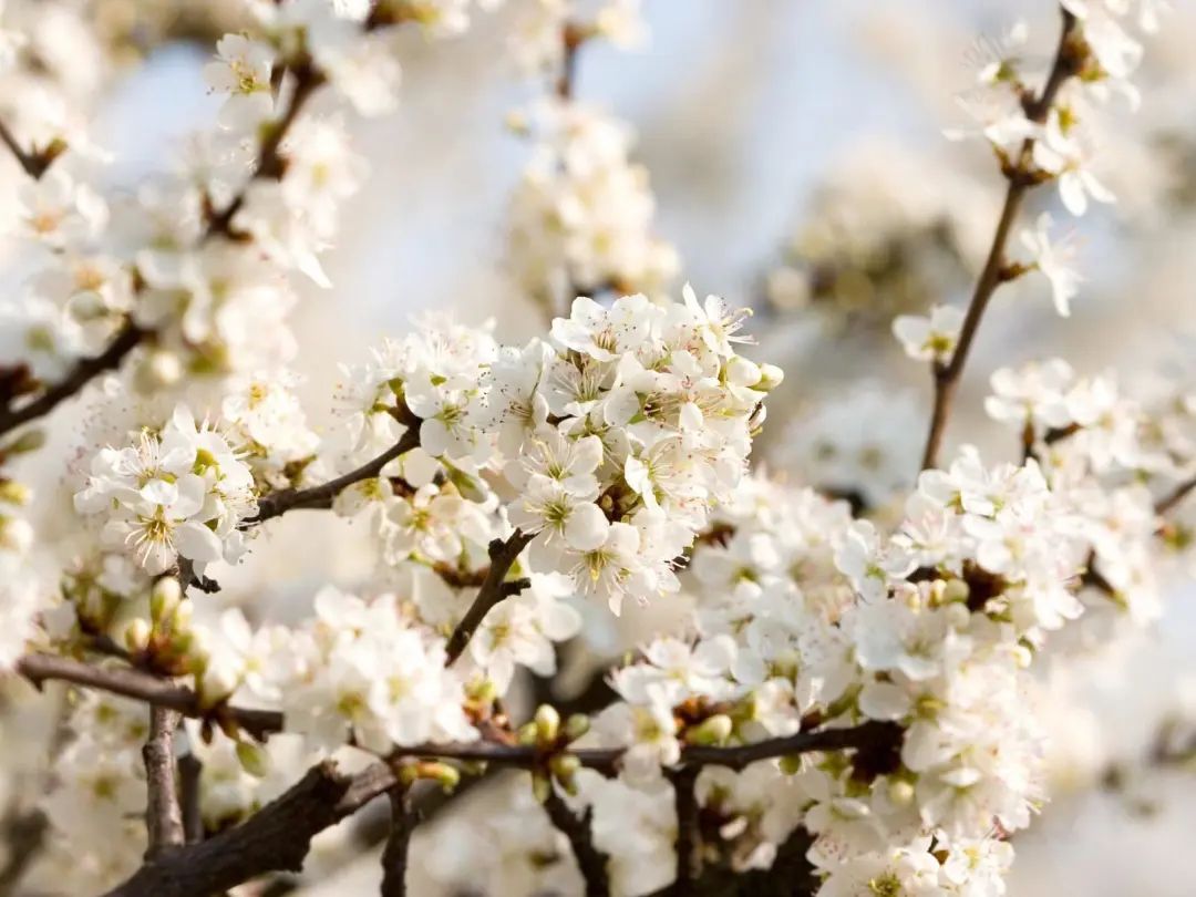 四川宜宾市长宁县竹海新闻,天府竹海景点