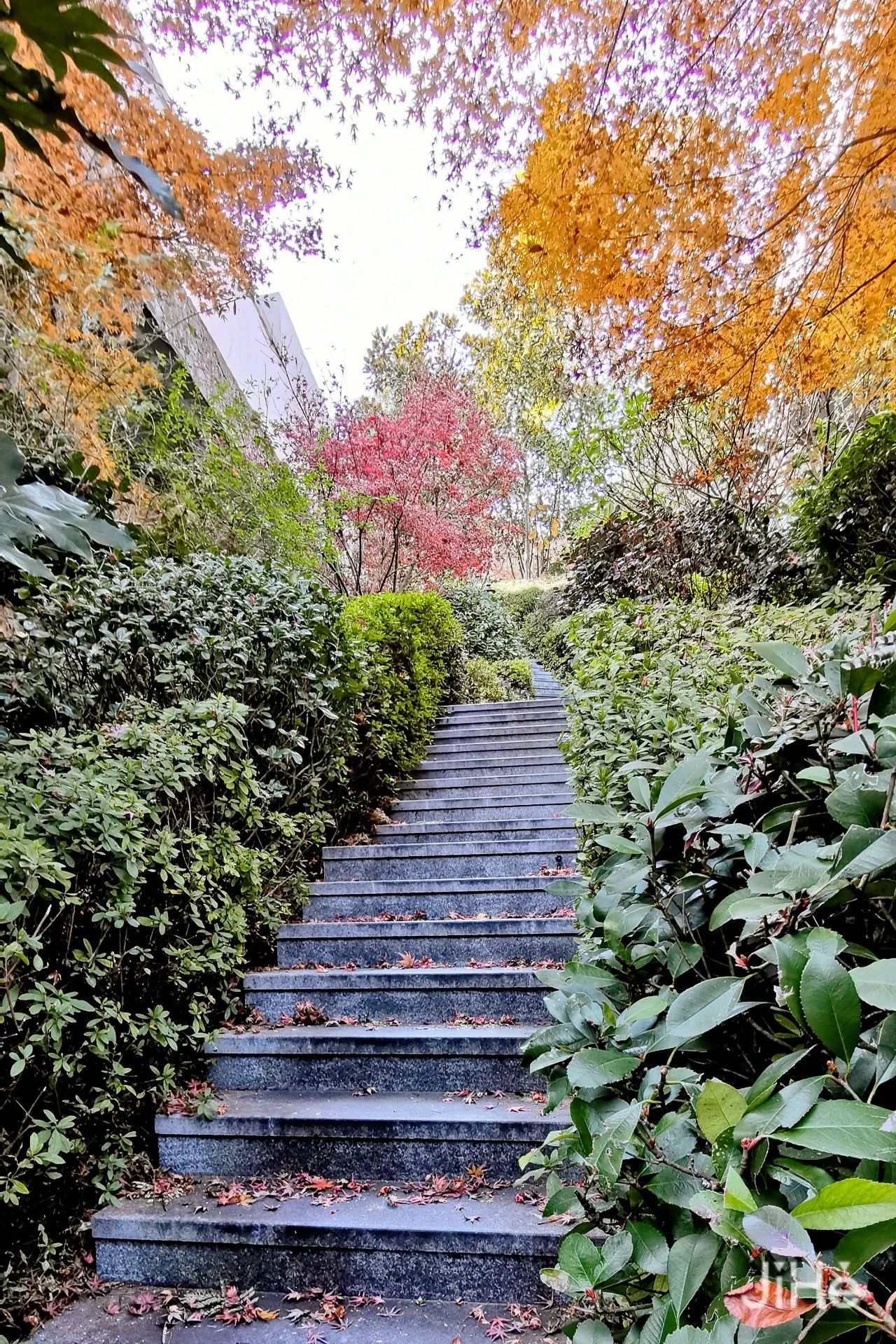 怎么知道温泉是真是假,你知道温泉是什么吗