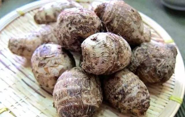 野生的大野芋为什么有毒,野芋中毒吃什么