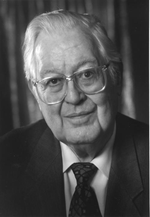 紫红色狐狸,狐狸和白色的兔子