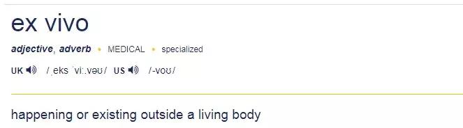 外国人评论vivo手机,外国人说vo什么意思