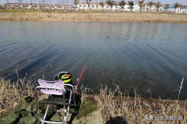 早春钓鱼方法与技巧,春季钓鱼遵循这3点鱼获杠杠的