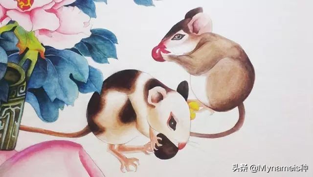 十二属相在今年每月的吉凶,十二属相各自都有什么缺人点