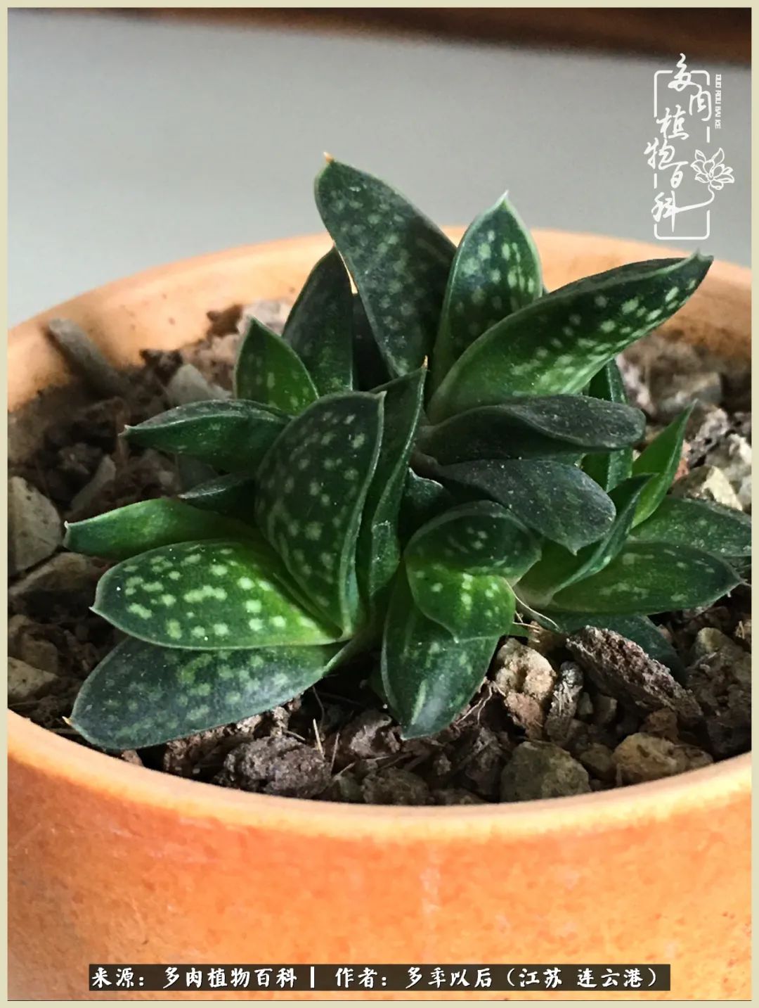 多去花前谈以后，少来月下忆当年