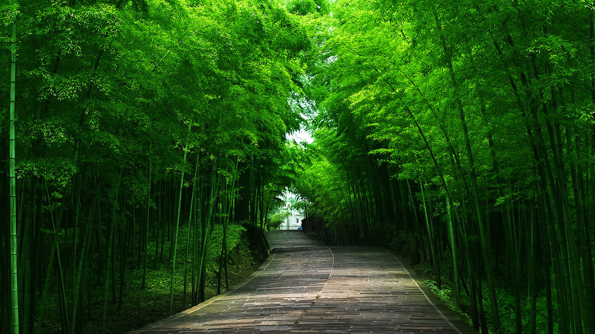 四川旅游踩坑的地方,贵州旅游踩坑