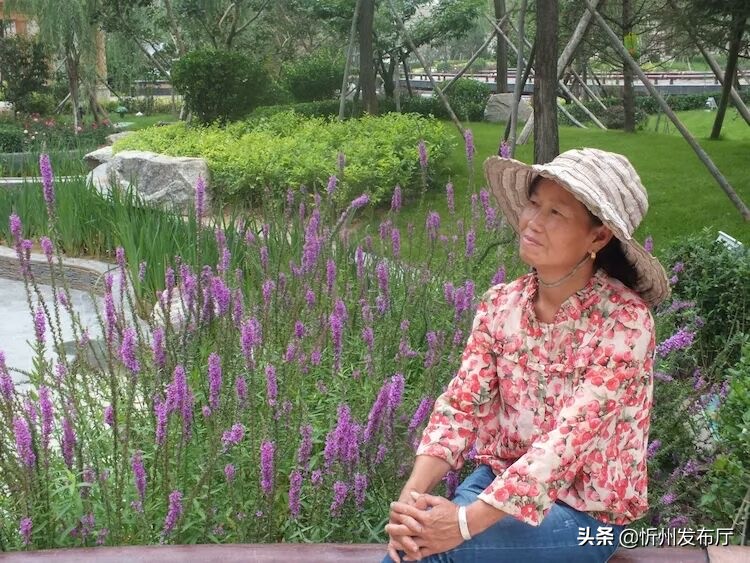 忻州国力花园二期在哪个位置,忻州国力花园五期和国力新城二期