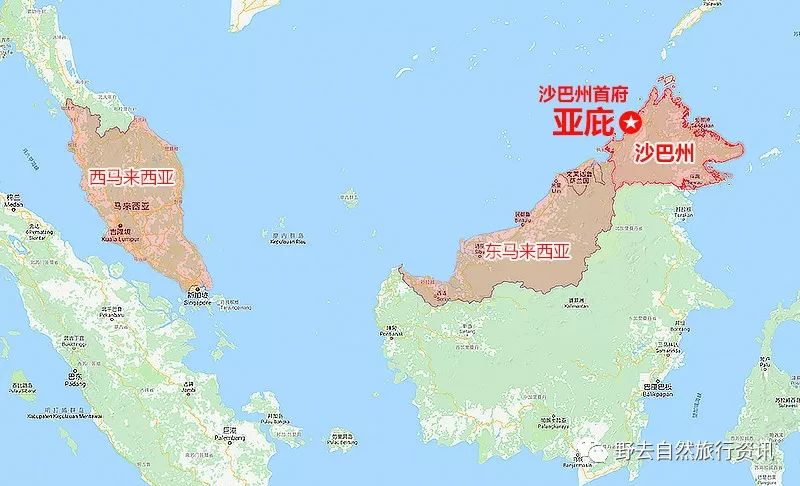 希望疫情早点结束能陪孩子多走走,待疫情彻底过去