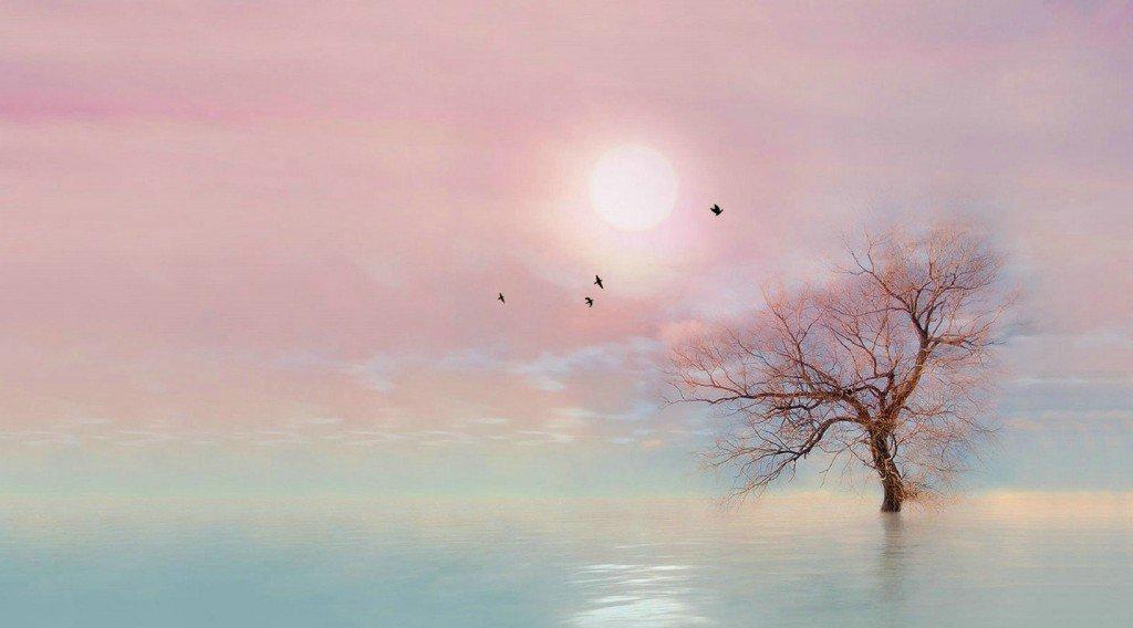 山无棱天地合乃敢与君绝诗名,山无棱天地合才敢与君绝全诗翻译