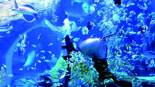 西安幻太奇海洋馆门票价格是多少,西安太奥幻太奇海洋馆营业到几点