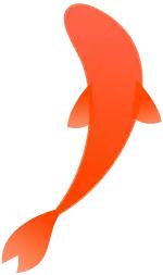 如何学会鲤鱼打挺教学视频,10秒教你鲤鱼打挺